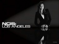 ncis: los angeles, kensi blye, kensi, cbs, daniela ruah, daniela, spies, sexy, babes / NCIS Los Angeles