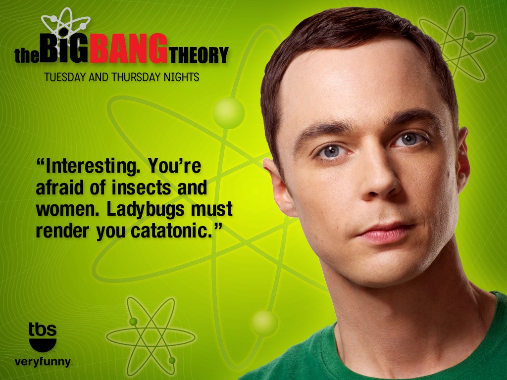 Download The Big Bang Theory / TV Serials wallpaper / 1024x768