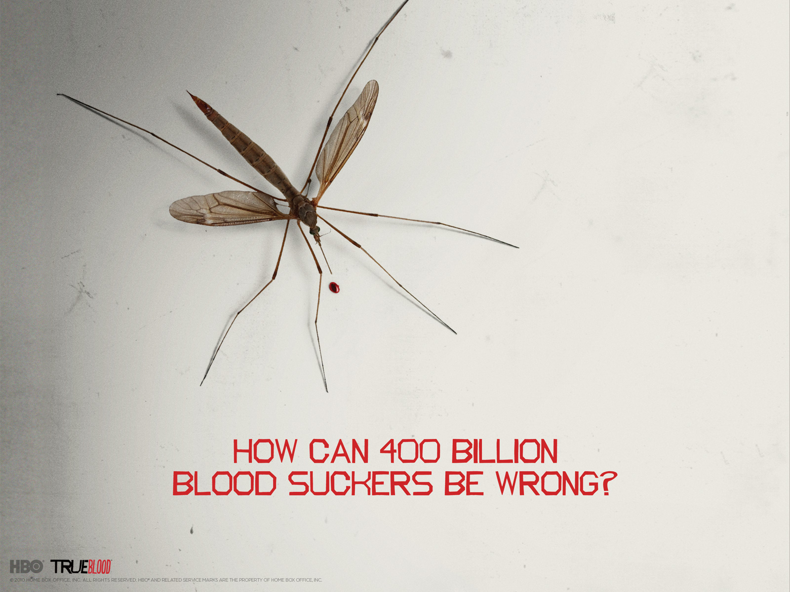 Download High quality mosquito True Blood wallpaper / 1600x1200