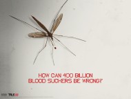 Download mosquito / True Blood