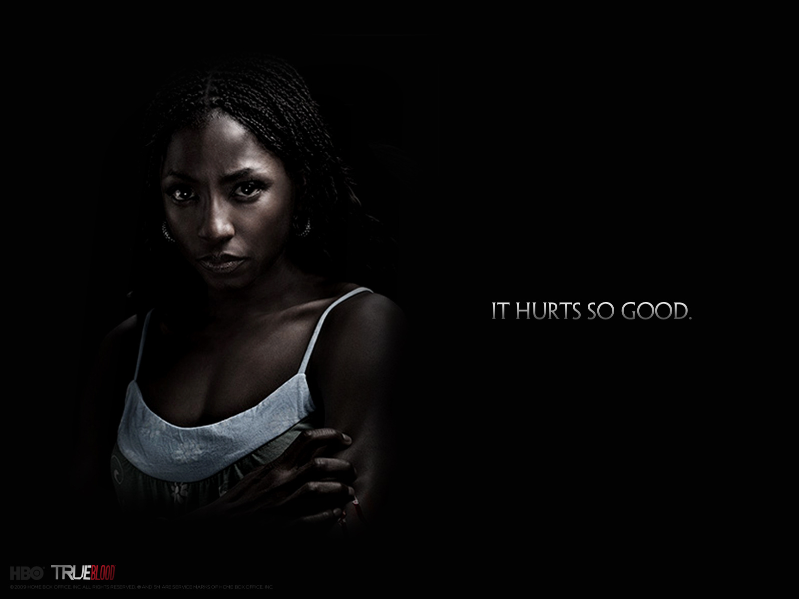 Download High quality it hurts so good True Blood wallpaper / 1600x1200