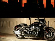 Harley Davidson / Motorcycle
