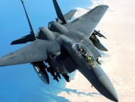 Download F-15 Eagle Alone / Military Airplanes