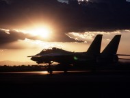 F-14 Tomcat / Military Airplanes
